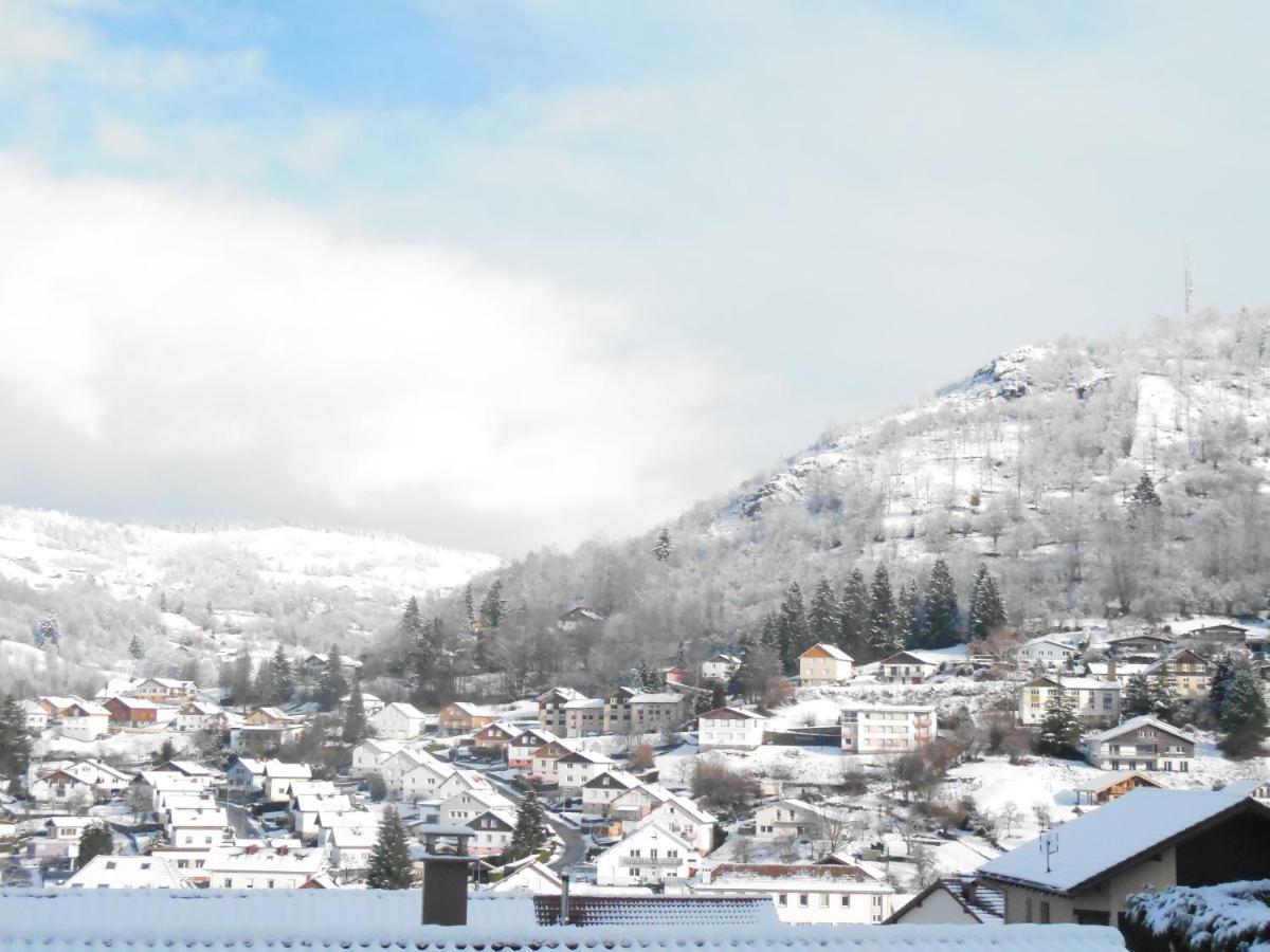 Hameau Des Chaumes Vue Panoramique Appartement La Bresse Buitenkant foto