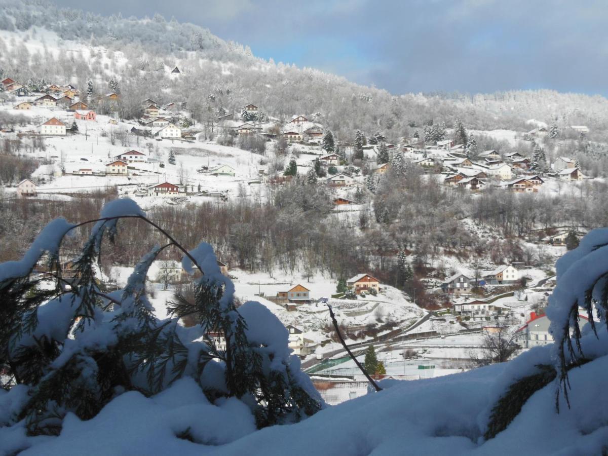 Hameau Des Chaumes Vue Panoramique Appartement La Bresse Buitenkant foto
