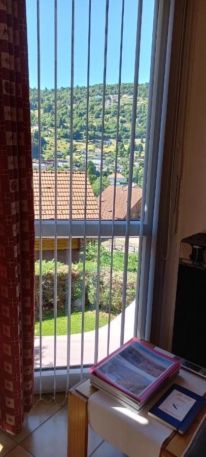 Hameau Des Chaumes Vue Panoramique Appartement La Bresse Buitenkant foto