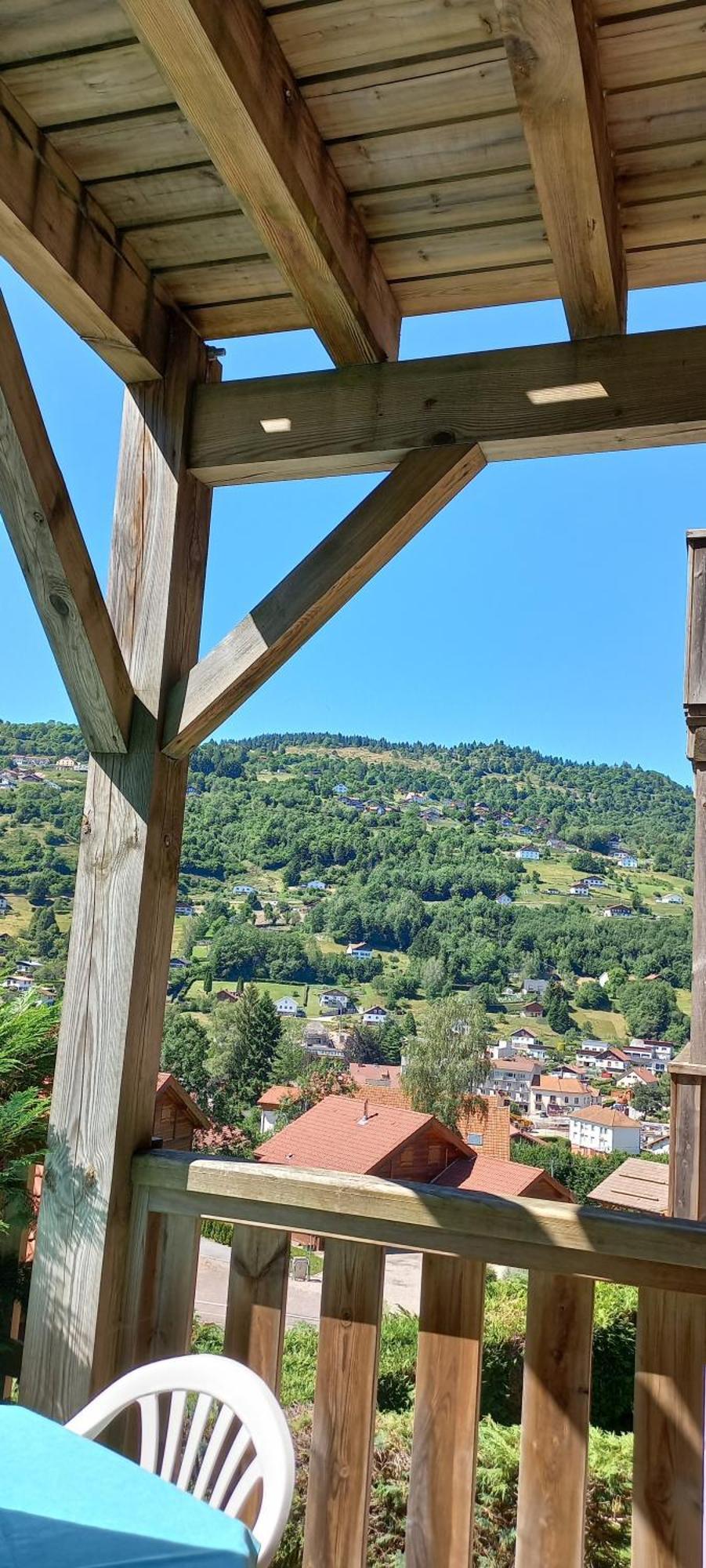 Hameau Des Chaumes Vue Panoramique Appartement La Bresse Buitenkant foto